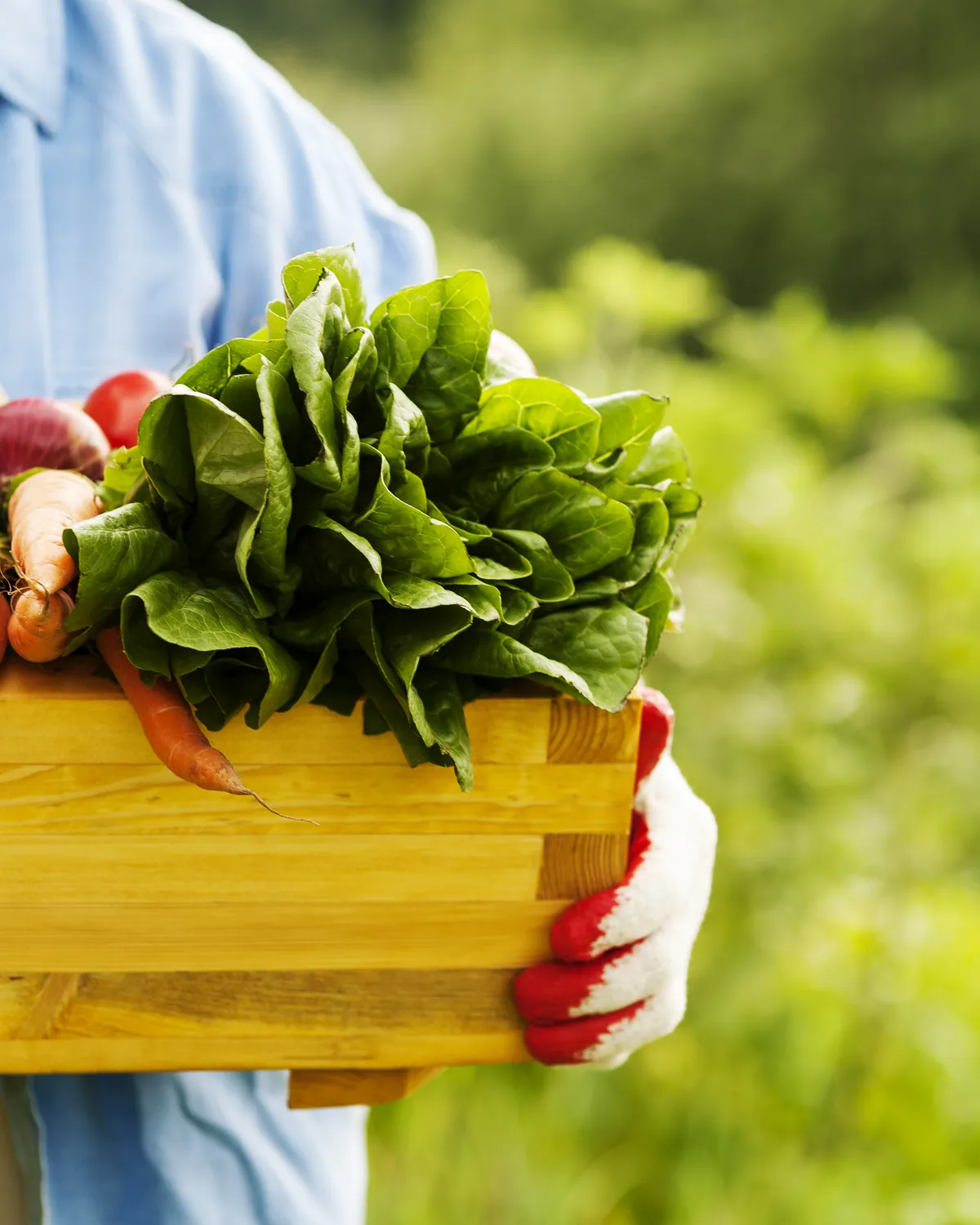 A person carrying a wooden crate of freshly picked vegetables